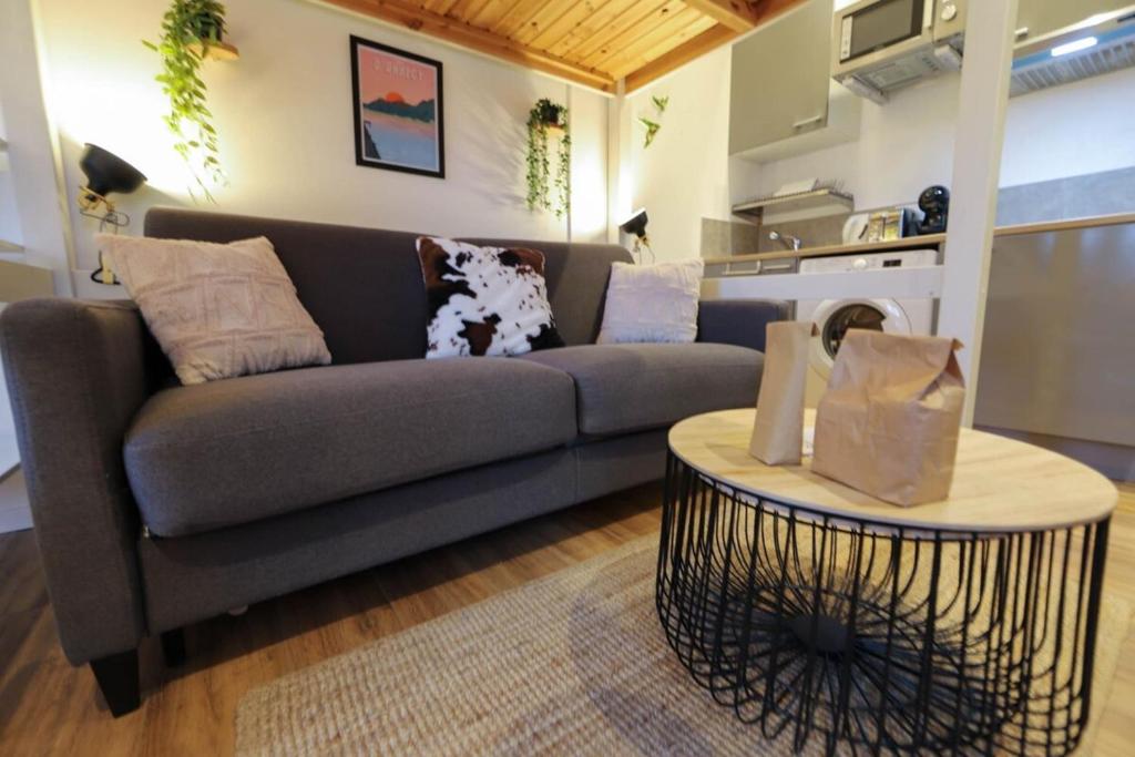 a living room with a couch and a table at Le Petit Plus - studio confortable avec parking in Annecy