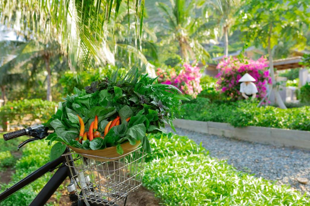 Ein Garten an der Unterkunft Six Senses Con Dao - Turtle Island Paradise