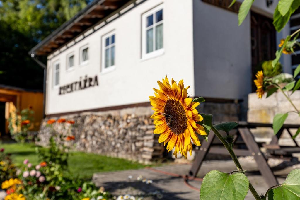 Garður fyrir utan Chata Rychtářka