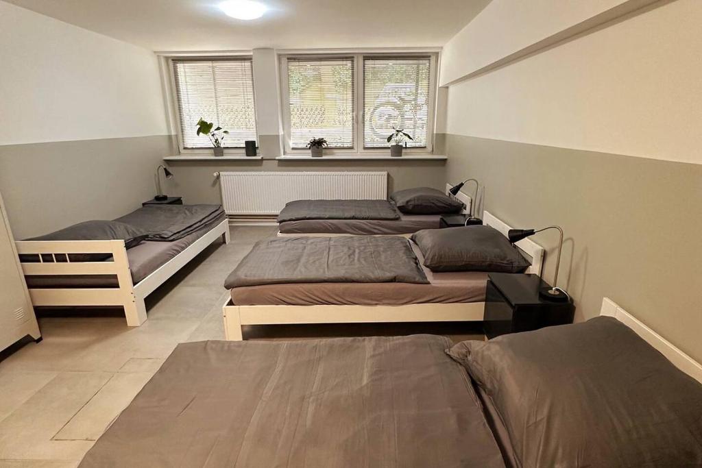 a room with three beds and two windows at Quartier No.9 in Hamburg