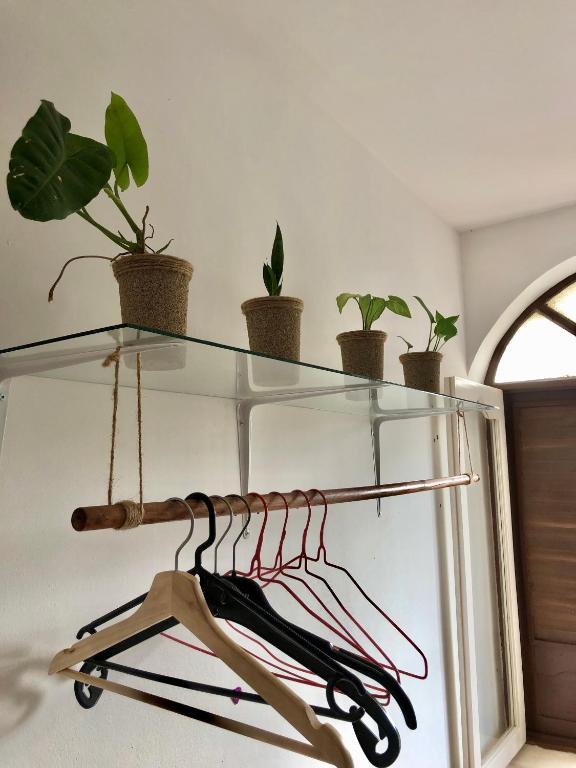 Fotografie z fotogalerie ubytování Tarrafal Ecodécor Rooms v destinaci Tarrafal
