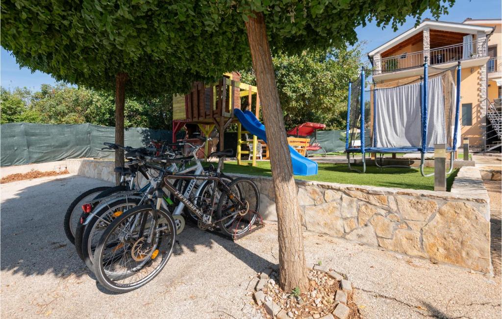 a group of bikes parked next to a tree at Stunning Home In Vinjani Donji With 5 Bedrooms, Wifi And Outdoor Swimming Pool in Majići