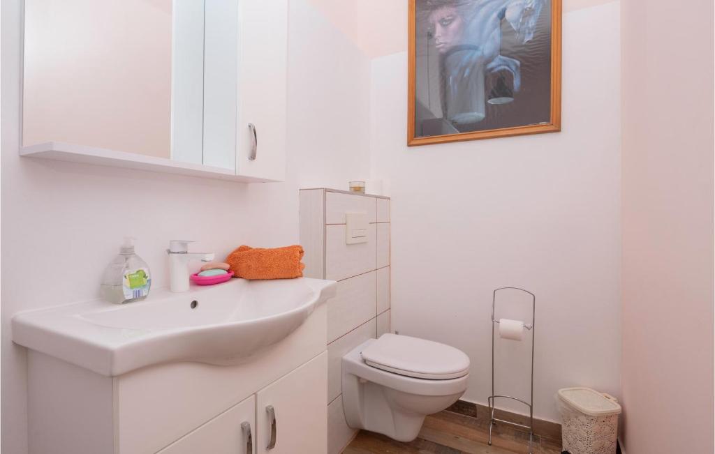 a white bathroom with a toilet and a sink at Stunning Home In Vinjani Donji With 5 Bedrooms, Wifi And Outdoor Swimming Pool in Majići