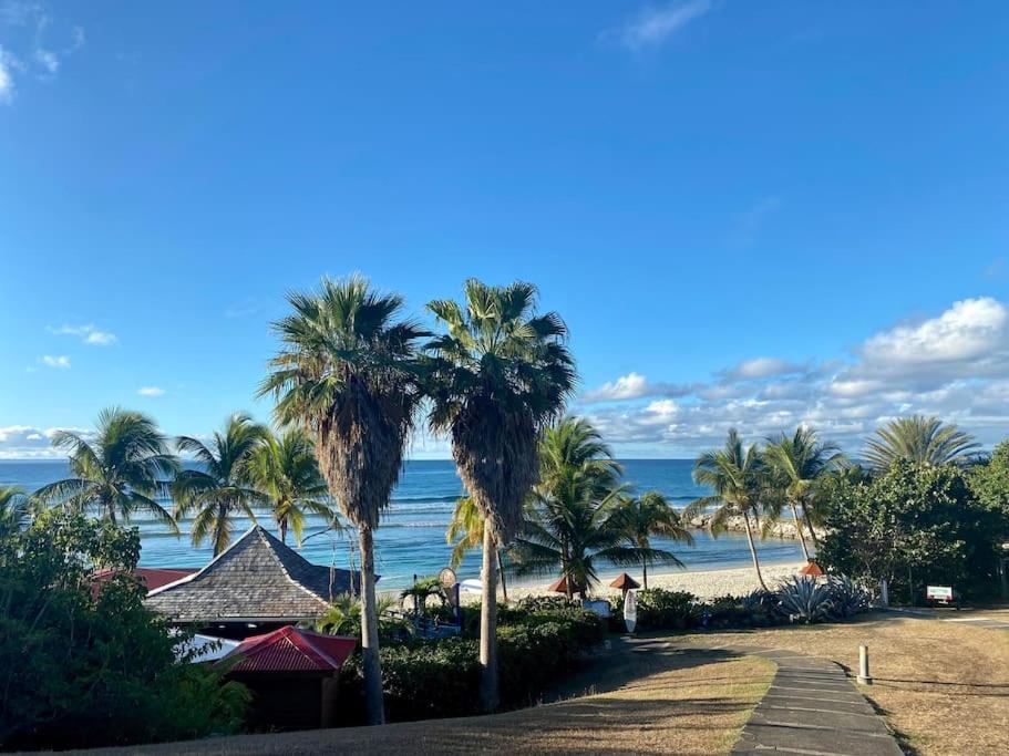 een uitzicht op een strand met palmbomen en de oceaan bij Studio vue mer in Sainte-Anne