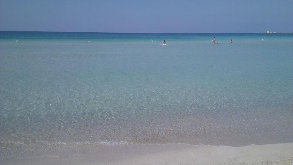 Táj Show holiday homes közelében