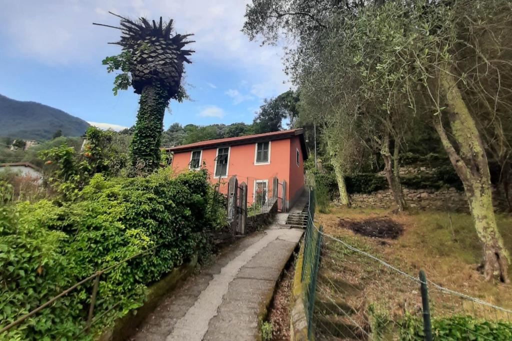 Príroda v okolí apartmánu