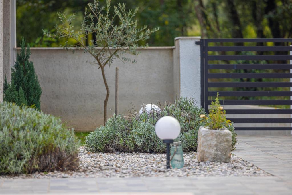 Zahrada ubytování Villa Allegra