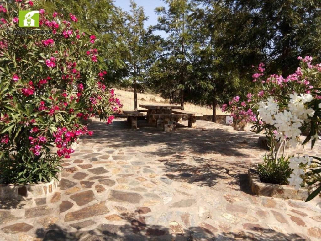 Um jardim no exterior de Casa das Bonecas