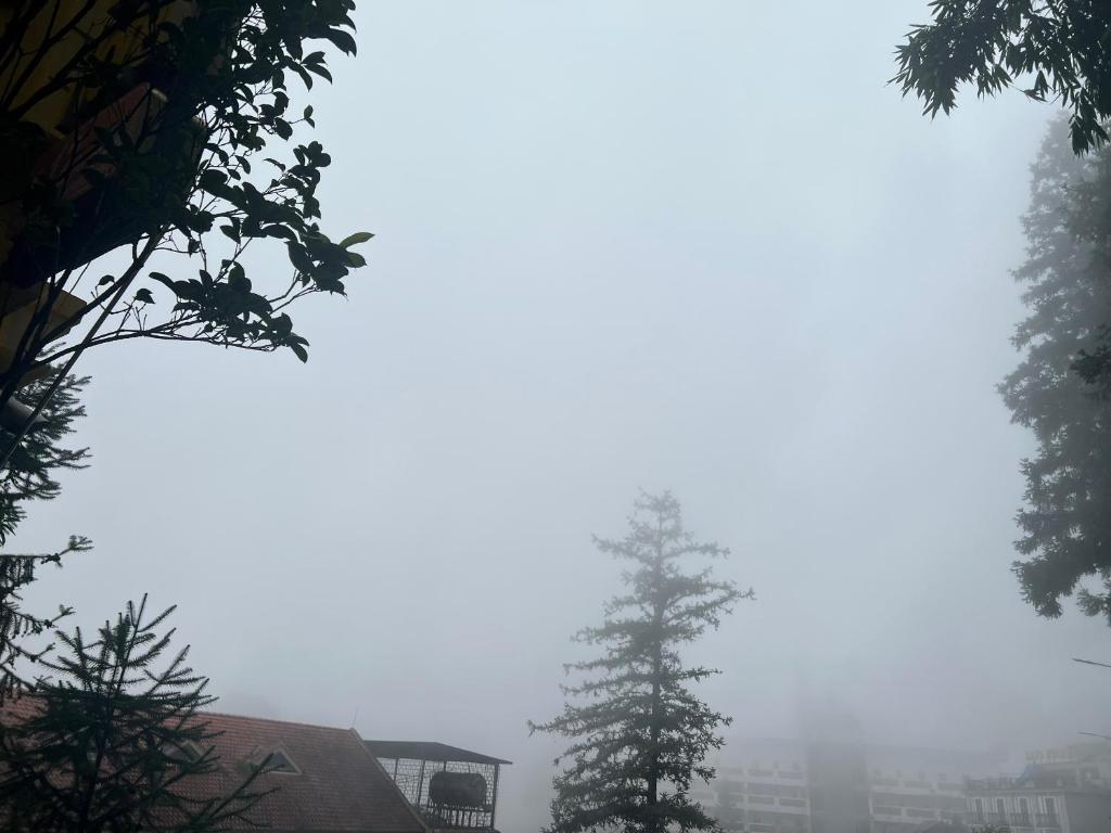 Příroda nedaleko hotelu