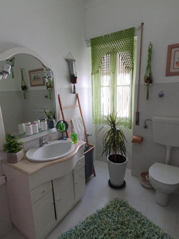 Casa da Tina Conforto Familiar no Sítio da Nazaré - 12