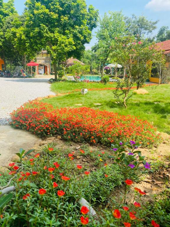 Zahrada ubytování Homestay Bài Văn garden