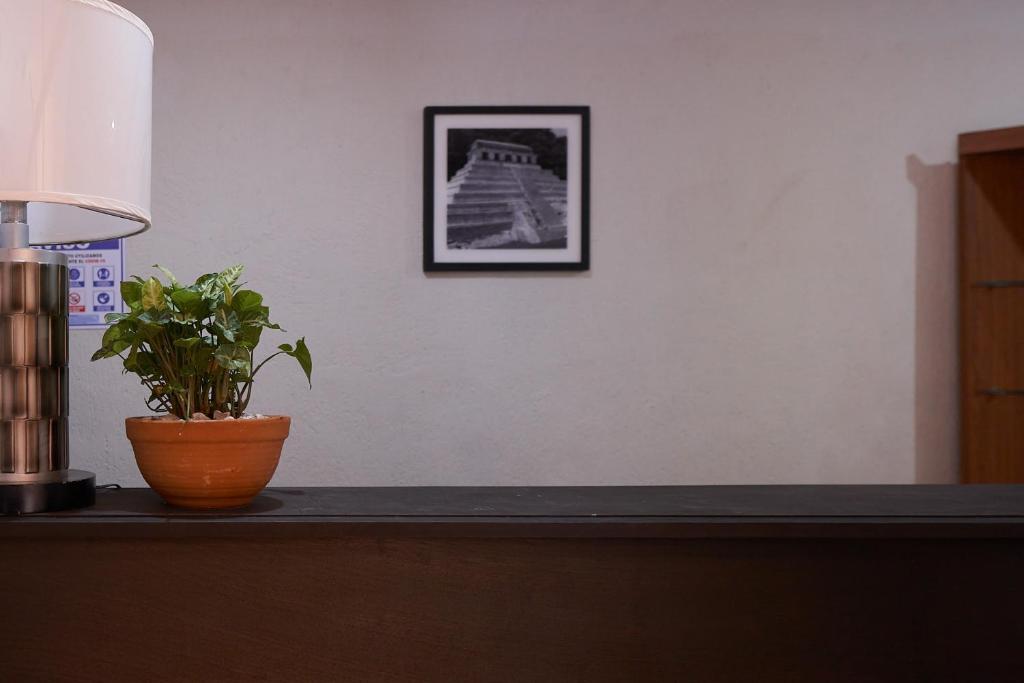 Fotografie z fotogalerie ubytování Hostal Ixchel - WiFi, Hot Water, AC, in Valladolid Downtown v destinaci Valladolid