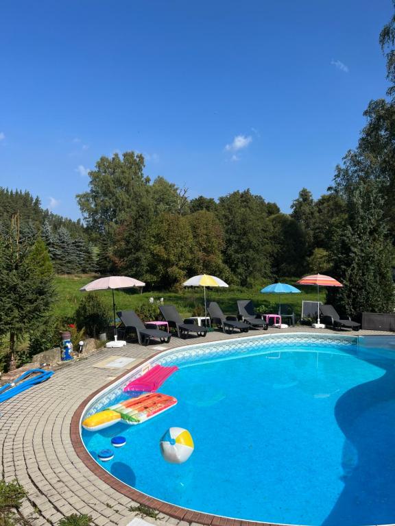 duży basen z parasolami i krzesłami w obiekcie Forest Paradise w mieście Stružná
