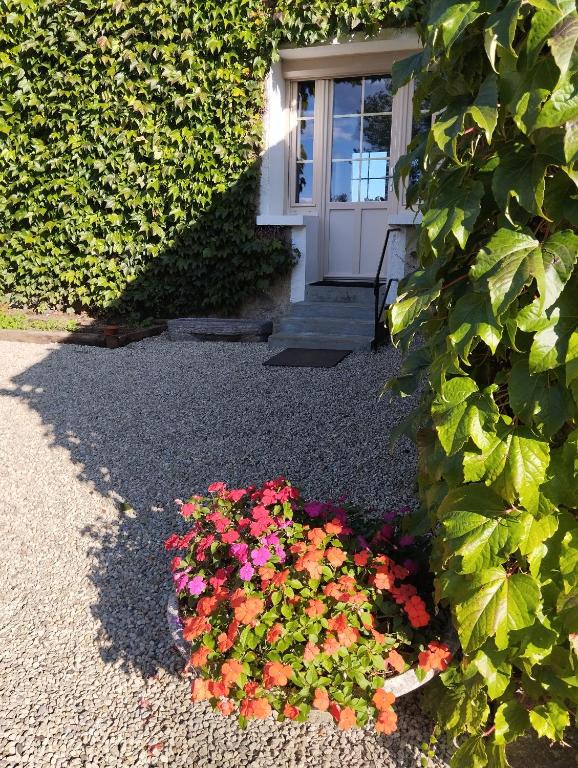 a bed of flowers in front of a house at Maison au calme avec vue étang in Clessé