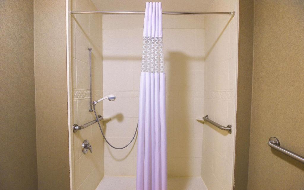 Hampton Inn & Suites Flowery Branch photo