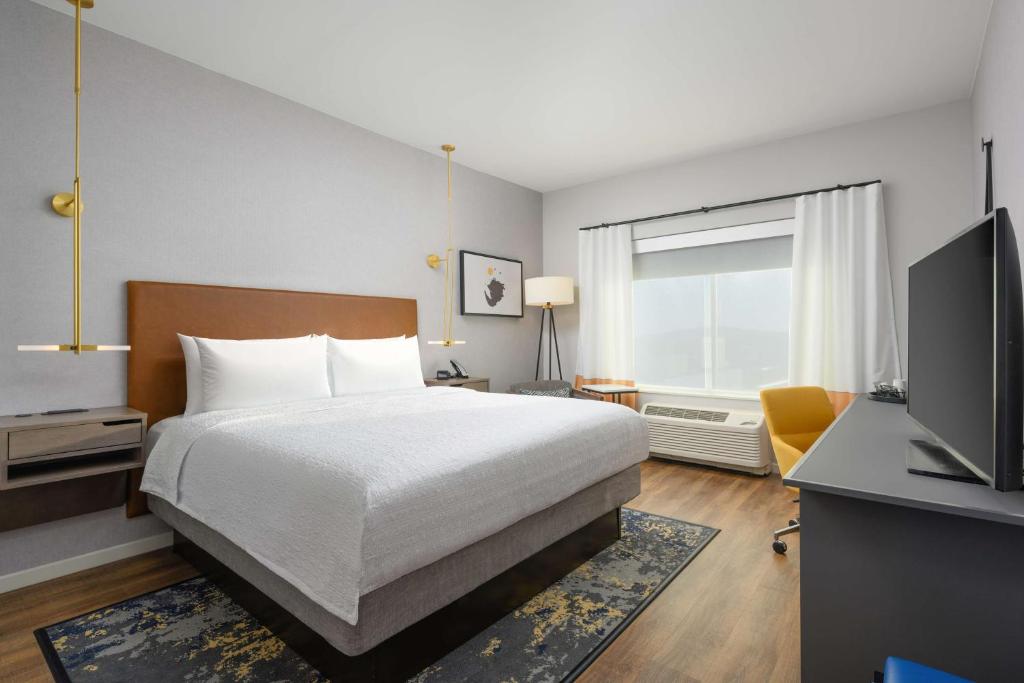 Hampton Inn & Suites Huntsville Downtown, Al - King Kamer