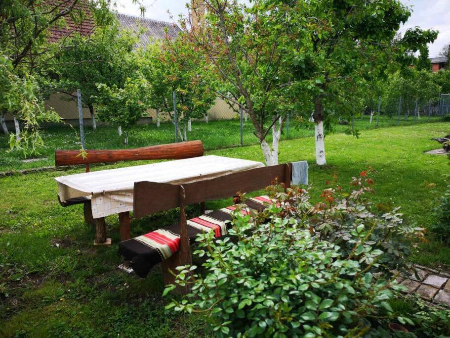 einen Picknicktisch, der im Gras im Hof sitzt in der Unterkunft Etno house Leja 