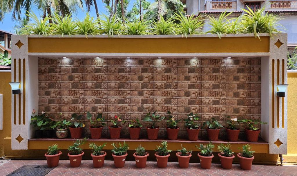 Zahrada ubytování The Royal Oasis Goa