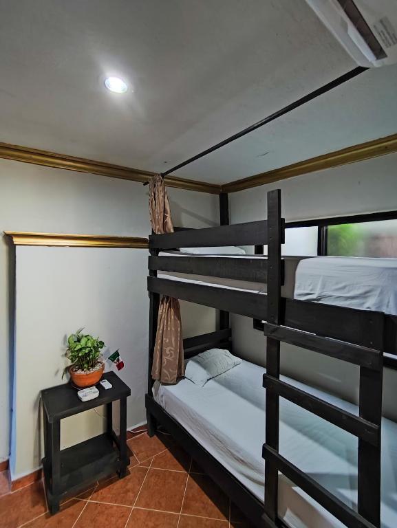 Hostal Ixchel - WiFi, Hot Water, AC, in Valladolid Downtown - Letto A Castello Nella Stanza Del Dormitorio Misto