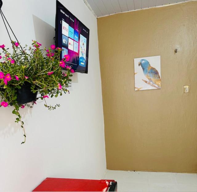 una habitación con una maceta y una foto de un pájaro en Hostel das Flores, en Belém