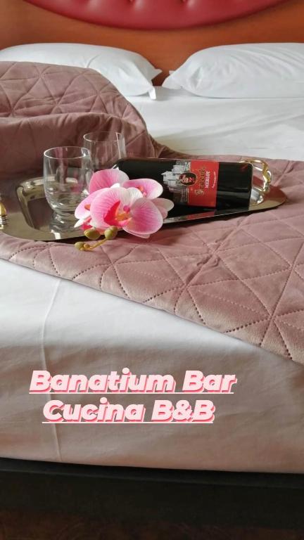 Nápoje v ubytování Hotel Banatium B&B Cucina