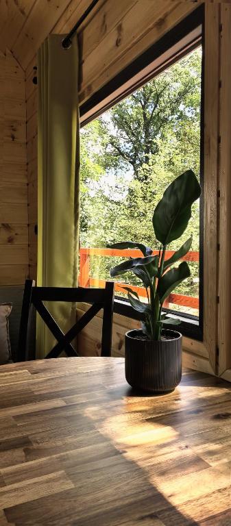 Fotografie z fotogalerie ubytování Tree Vill v destinaci Golędzinów