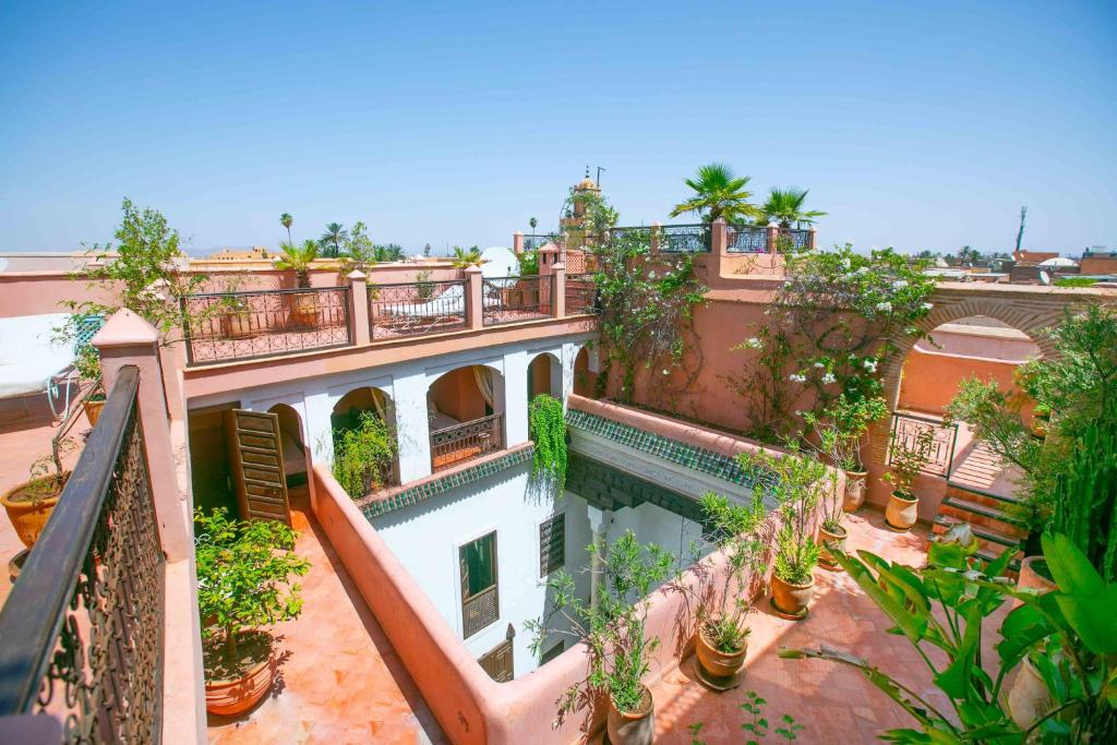 馬拉喀什的住宿－瑪瑞里亞庭院旅館，植物盆栽建筑的空中景观