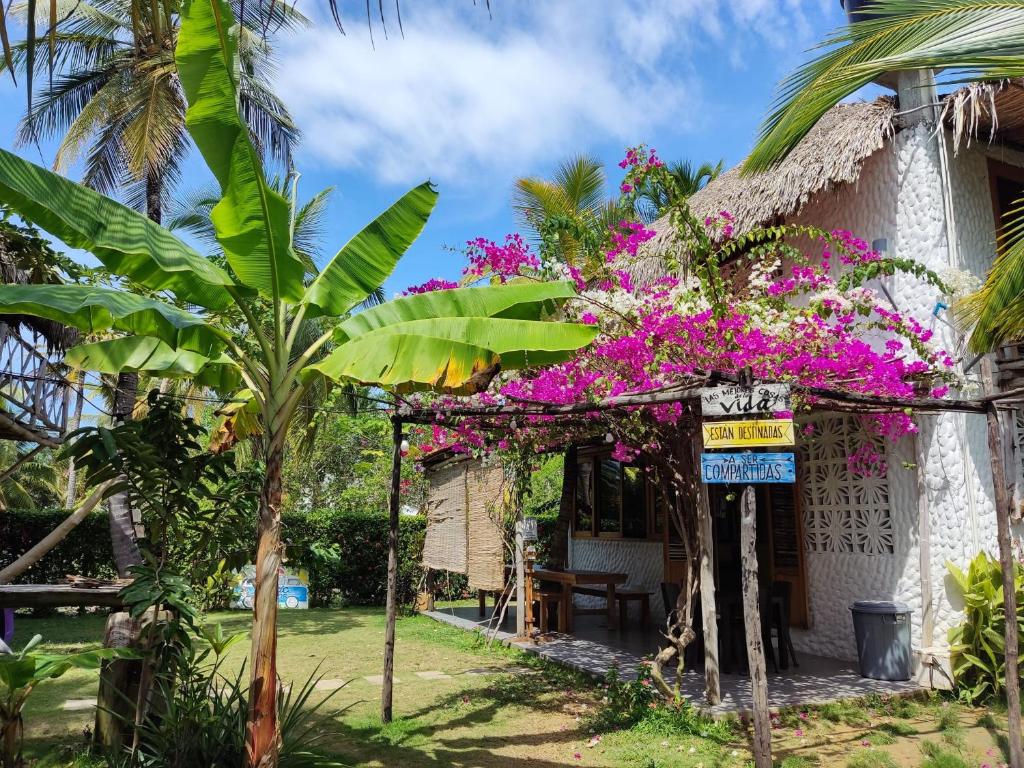 Jardí fora de Maria Moñitos Hostel