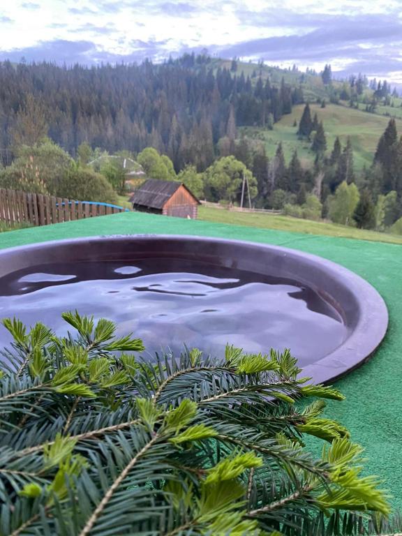 Fotografie z fotogalerie ubytování Villa Filiak v destinaci Jablunycja