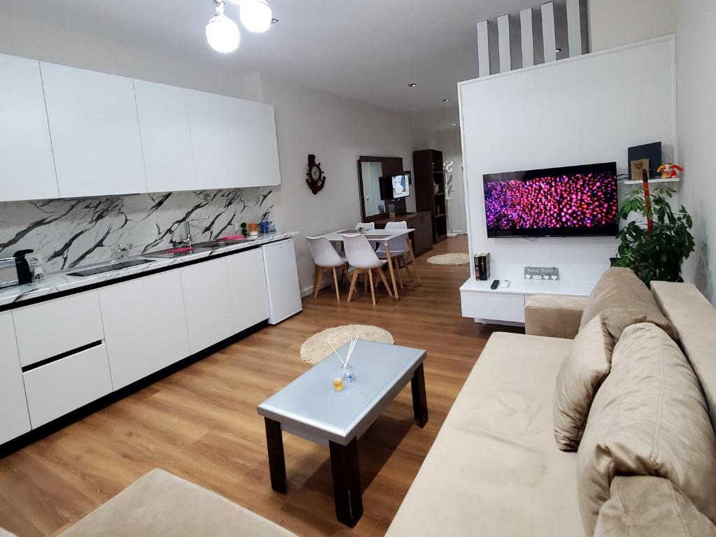 Televiisor ja/või meelelahutuskeskus majutusasutuses Armando's house Durres