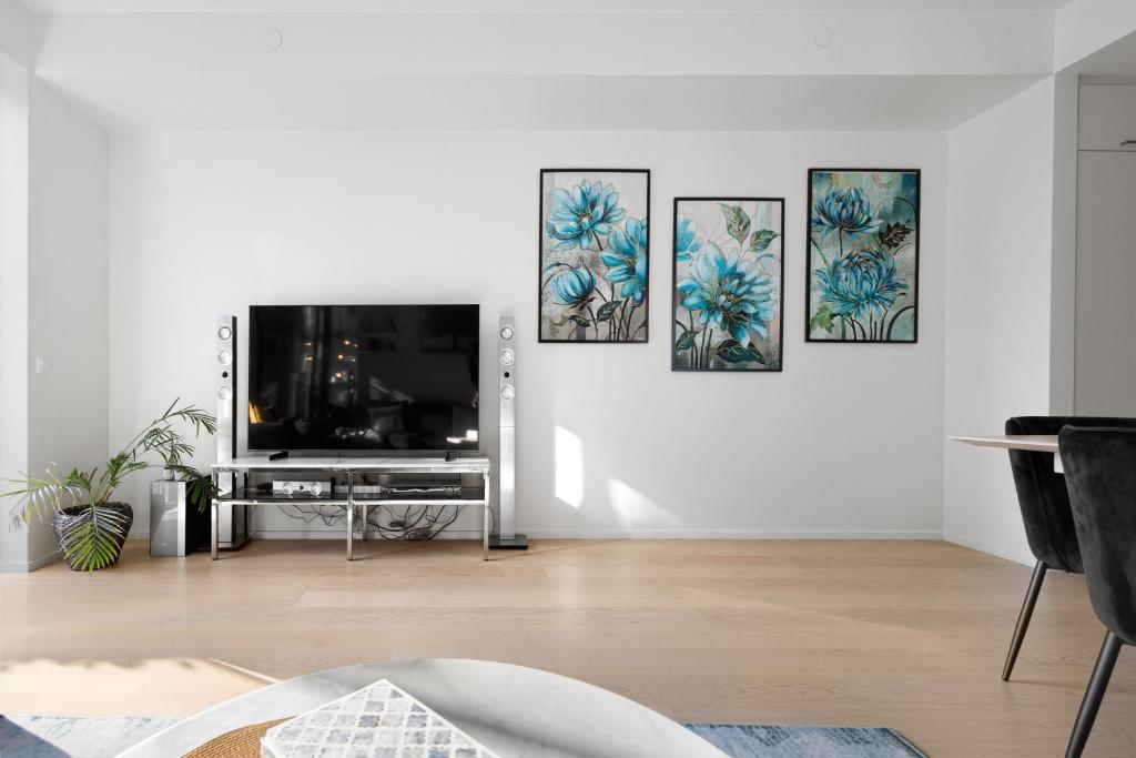 TV a/nebo společenská místnost v ubytování Spacious modern 2BR apartment at Central OSLO BARCODE