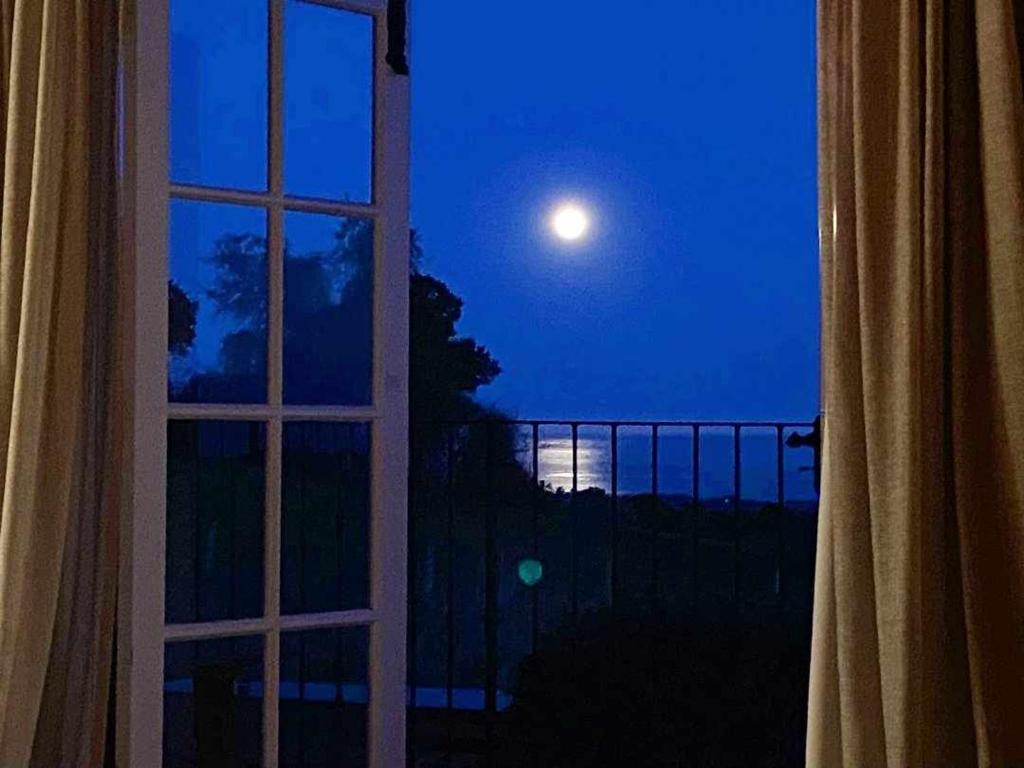 Sky Harbour - Resim 26