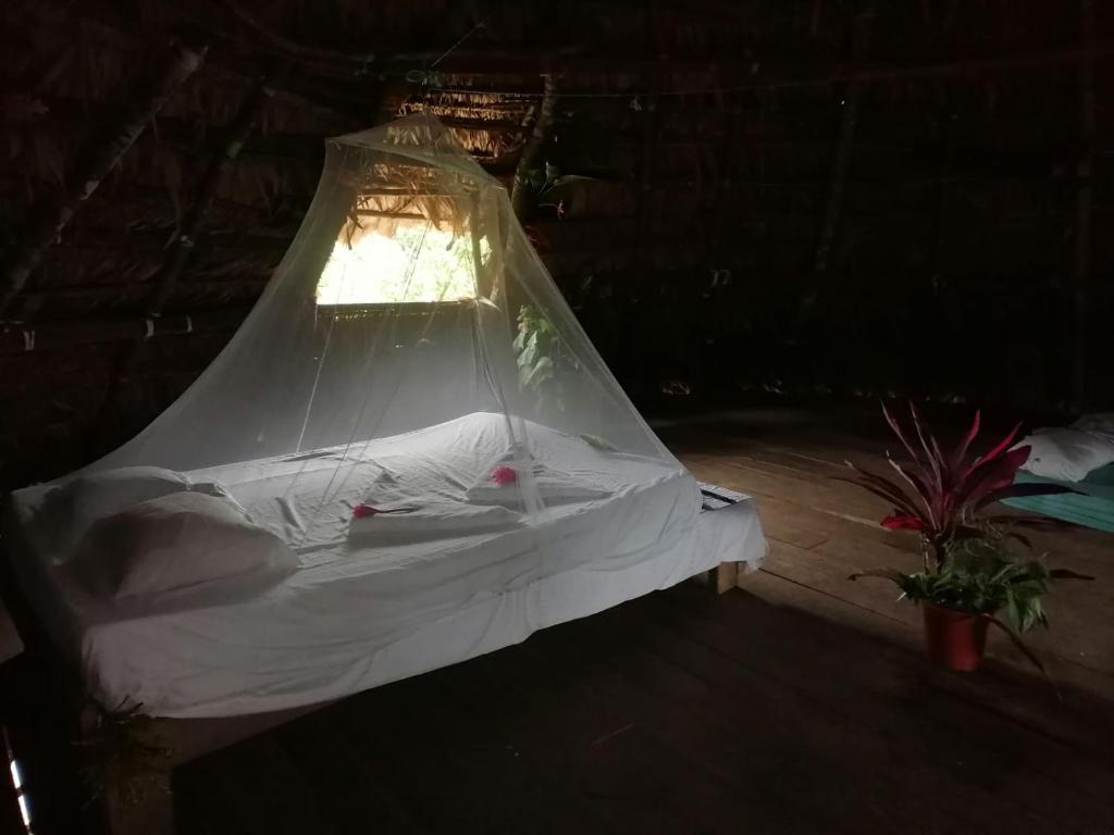 uma cama num quarto com uma tenda em Ditsowou Lodge & Tours em Bratsi
