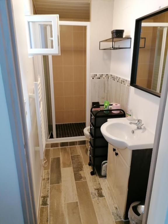 une salle de bain avec un lavabo, des toilettes et un miroir dans l'établissement Studio 500m plage, à La Tranche-sur-Mer