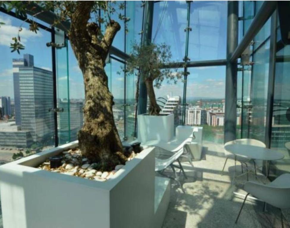 un árbol sentado en la parte superior de un edificio en City Sky Place en Mánchester