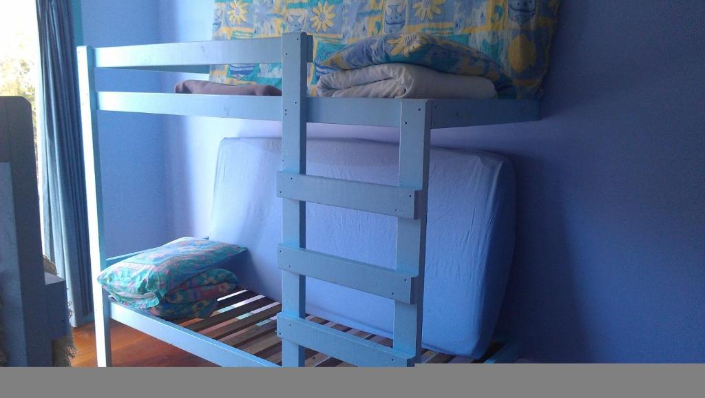 a bunk bed with a ladder next to a wall at Anglesea Backpackers in Anglesea