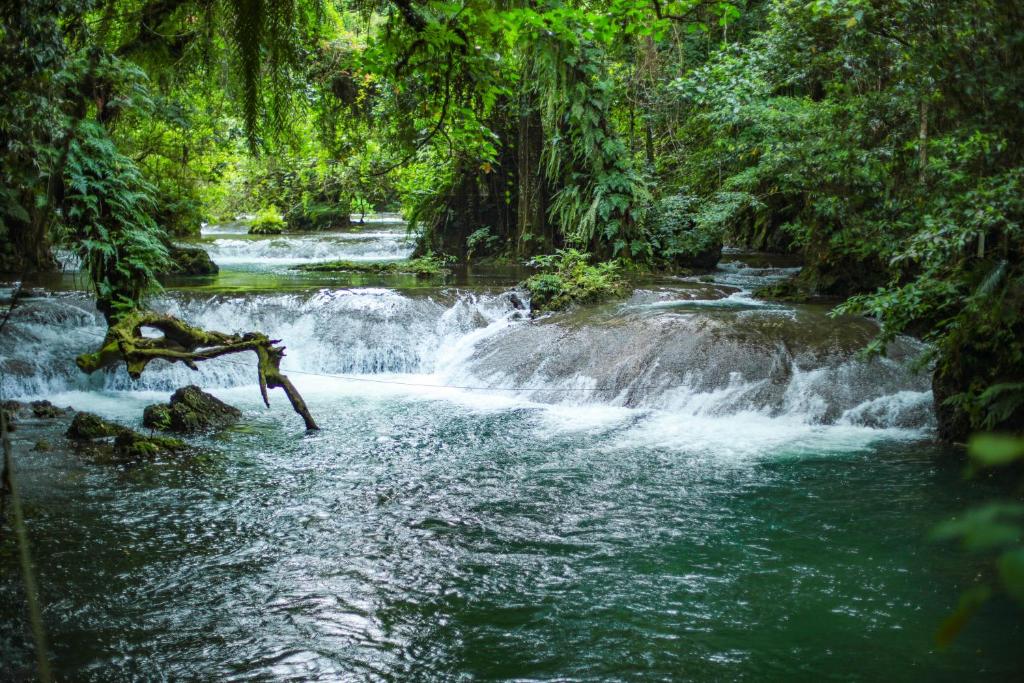 uma pessoa a saltar para um rio em frente a uma cascata em Stay at Eden on the River em Port Vila