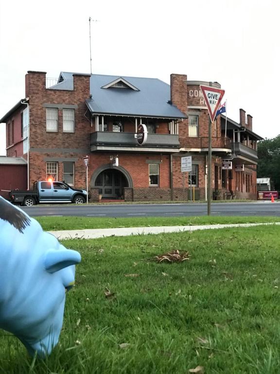 a hand wearing a blue glove in front of a building at COMMERCIAL HOTEL KANIVA in Kaniva