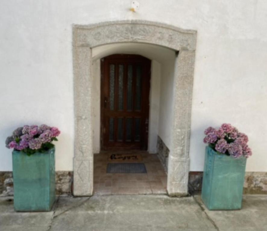 dois vasos verdes com flores na frente de uma porta em Gästehaus Taschler Hof 