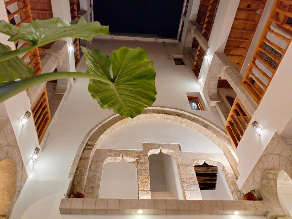 an archway in a building with a plant at Riad Al Manara in Essaouira