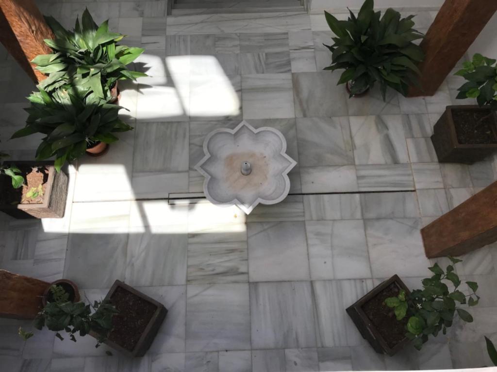 uma vista superior de um piso com vasos de plantas em WADI DAR AL-FARAH, ( LA CASA DE LA ALEGRIA DE GUADIX) em Guadix
