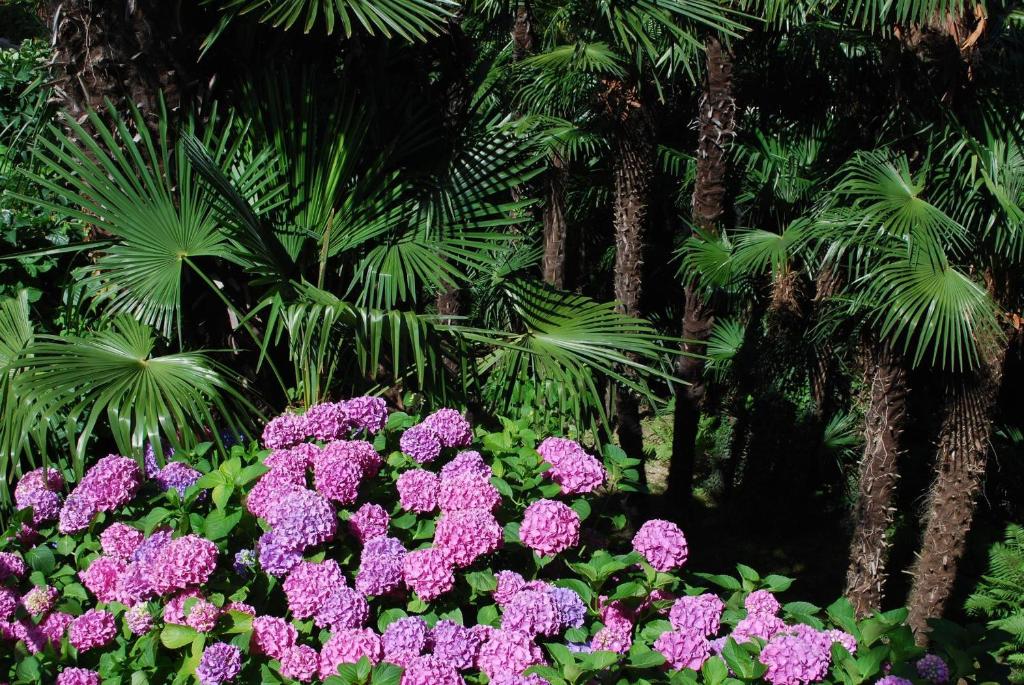 Continental Parkhotel - Resim 31