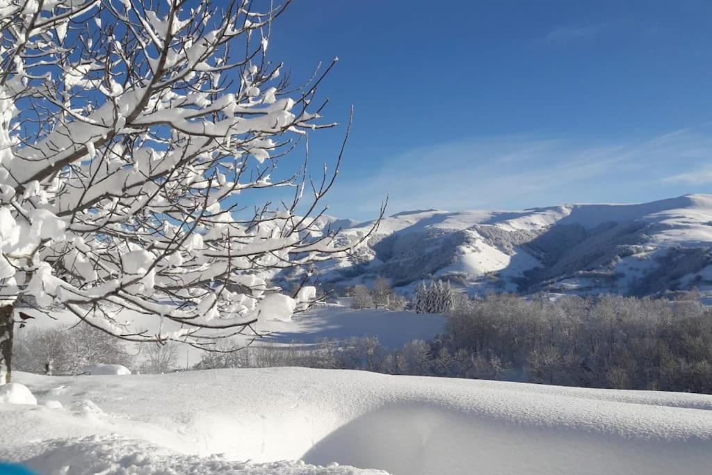 een met sneeuw bedekte boom met bergen op de achtergrond bij Gîte le Clou in Thiézac