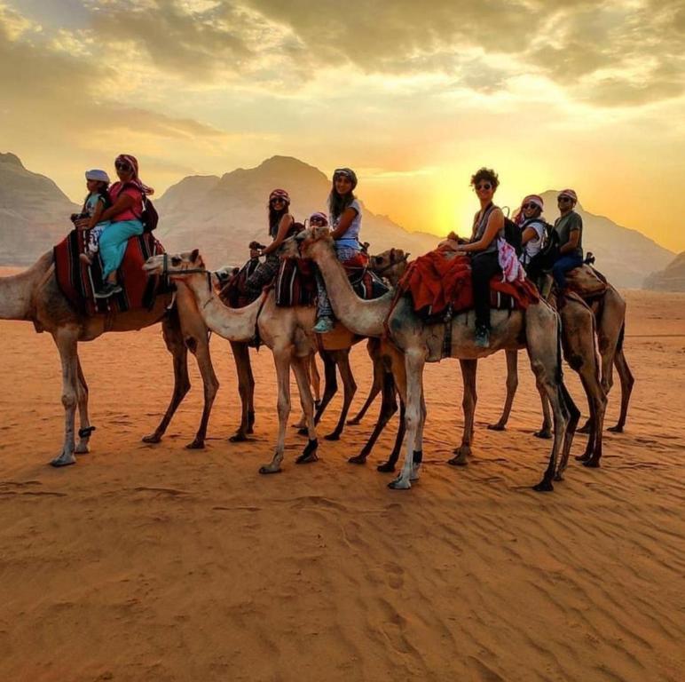 a group of people riding on camels in the desert at Mishari Wadi Rum camp in Disah
