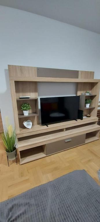 Televízia a/alebo spoločenská miestnosť v ubytovaní Apartment with garage Lavici