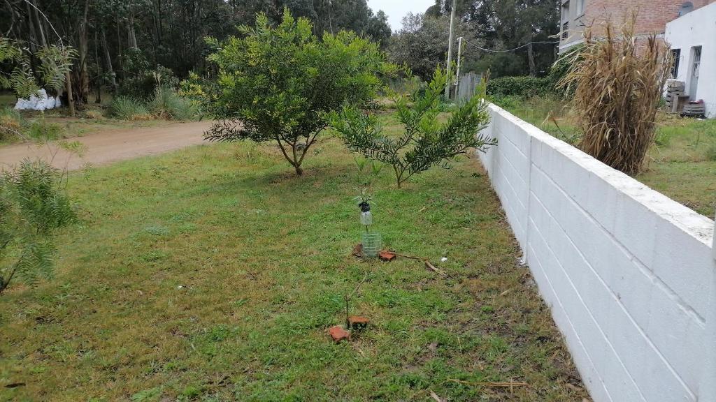 Fotografie z fotogalerie ubytování Casa en Sierras del Mar v destinaci Cuchilla Alta