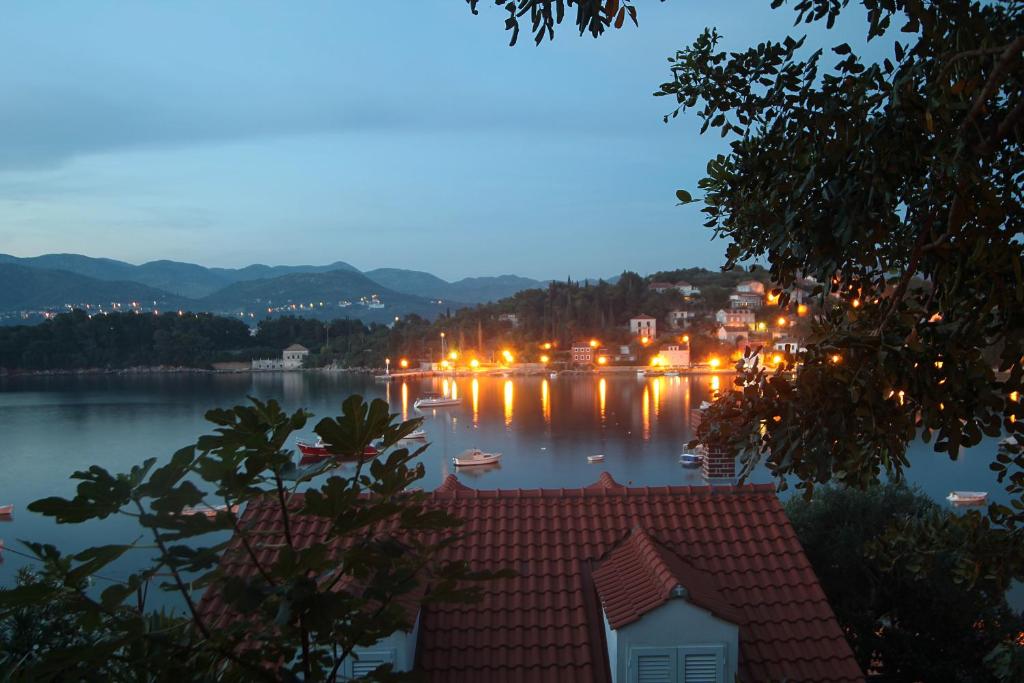 a view of a town on the water at night at Apartments Tereza in Koločep