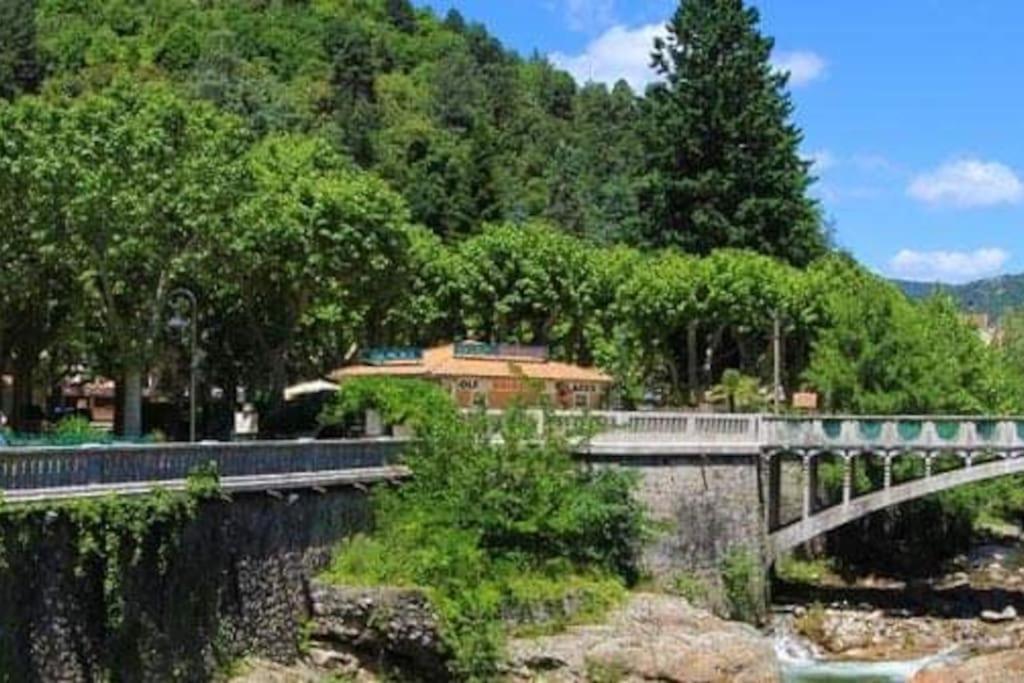 a bridge over a river next to a mountain at Un moment de Détente au cœur de Vals-les-Bains in Vals-les-Bains