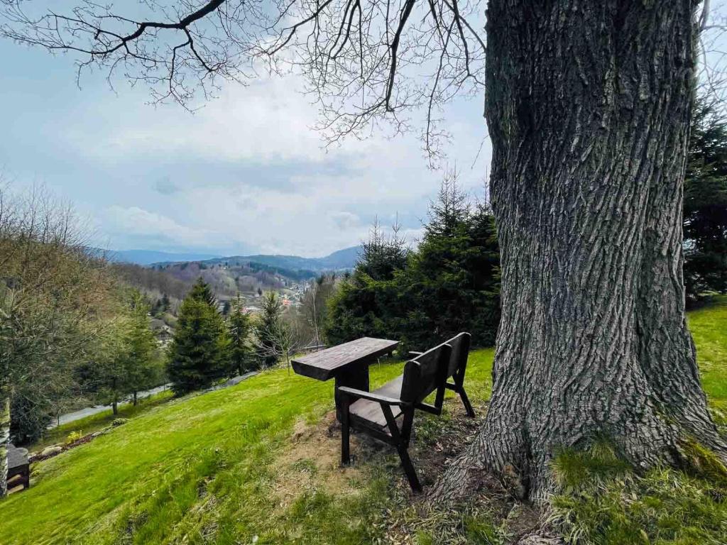 Příroda nedaleko apartmánu