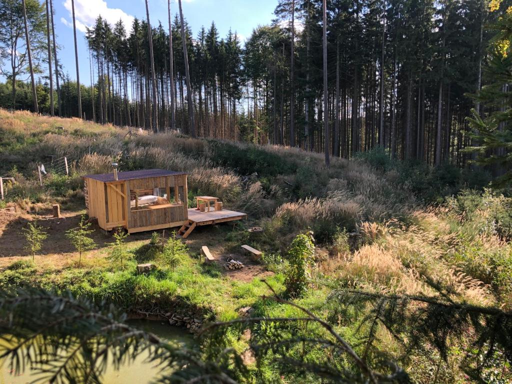 a tiny house in the middle of a forest at U pěti veverek in Humpolec